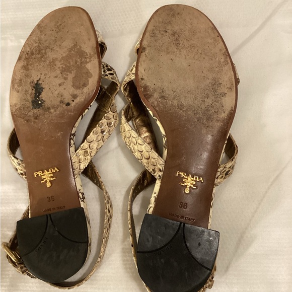 Prada Studded Snakeskin Sandals - Picture 10 of 11